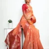 Banarasi Tissue Silk Saree - Orange