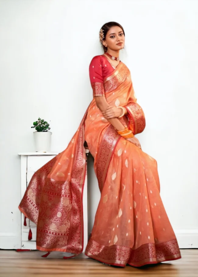 Banarasi Tissue Silk Saree - Orange